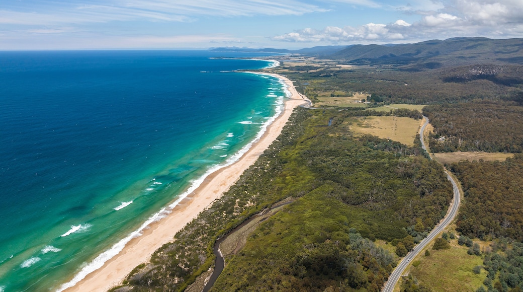 Stunning high angle aerial panoramic drone view of Lagoons Beach Conservation Area and the A3 Tasman Highway near the village of Scamander on the east coast of Tasmania, Australia on a sunny day.