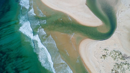 Scamander River estuary, Tasmania, Shutterstock ID 1076421356, Purchase Order: -