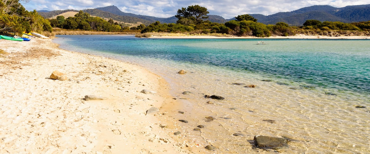 A beach with clear turquoise water, sandy shore, and green trees in the background.