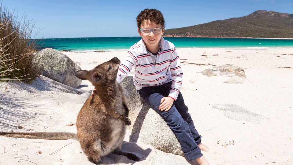 Child petting a little wallaby on the beach, Tasmania, Australia