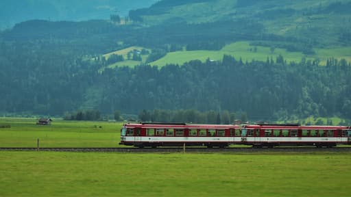 Taken while driving along a train track in the mountainous countryside of Austria.
#Mountains