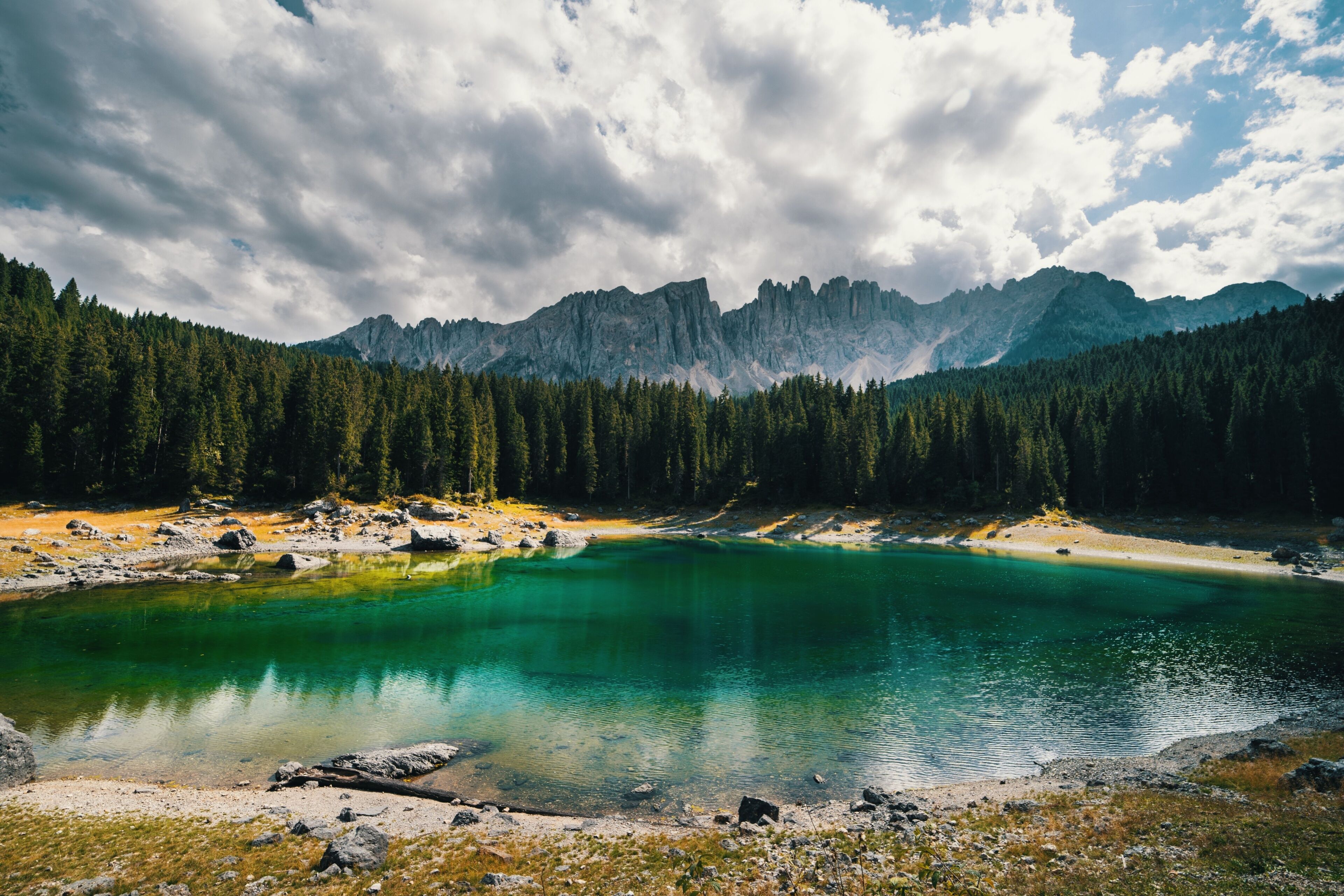 A mountain lake surrounded by dense forest and rugged mountains.