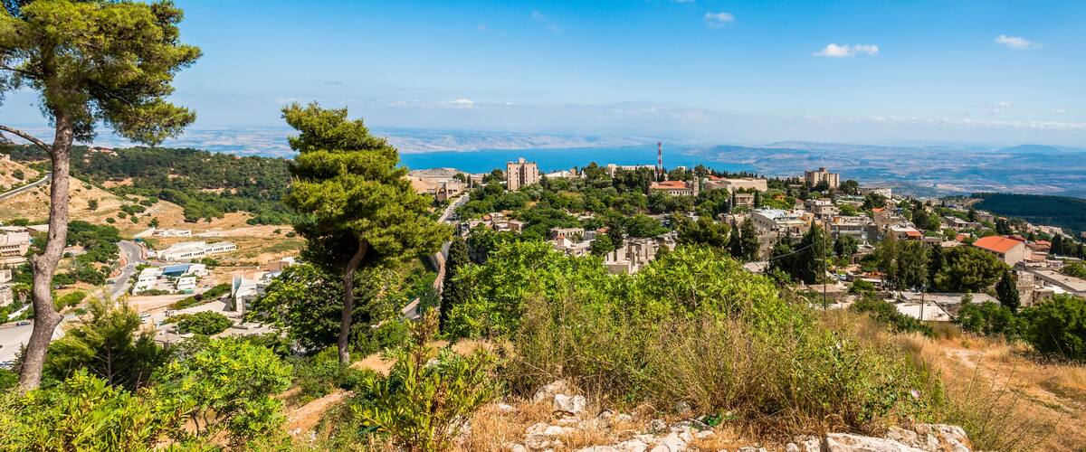 A coastal town with historic buildings, dense greenery, and a clear view of the sea.