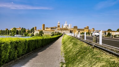 Mantova, Italy. Mantua Landscapes and the historical center of the city on Background. , Shutterstock ID 1137851051, SF SSA Case with Manager Approval: Case 07151371, Job: Prepay credit, Client/Licens