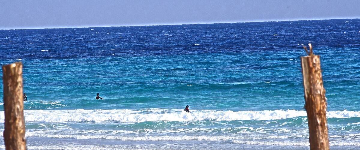 A beach with waves, a wooden fence, and a person in the water.