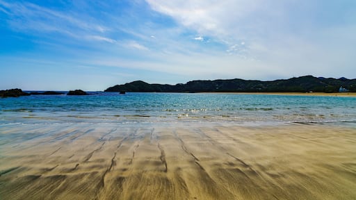Nature landscape in Izu Japan