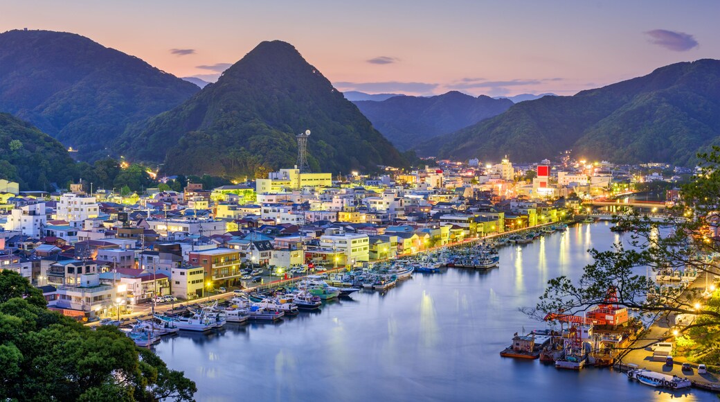 Shimoda, Japan Town Skyline