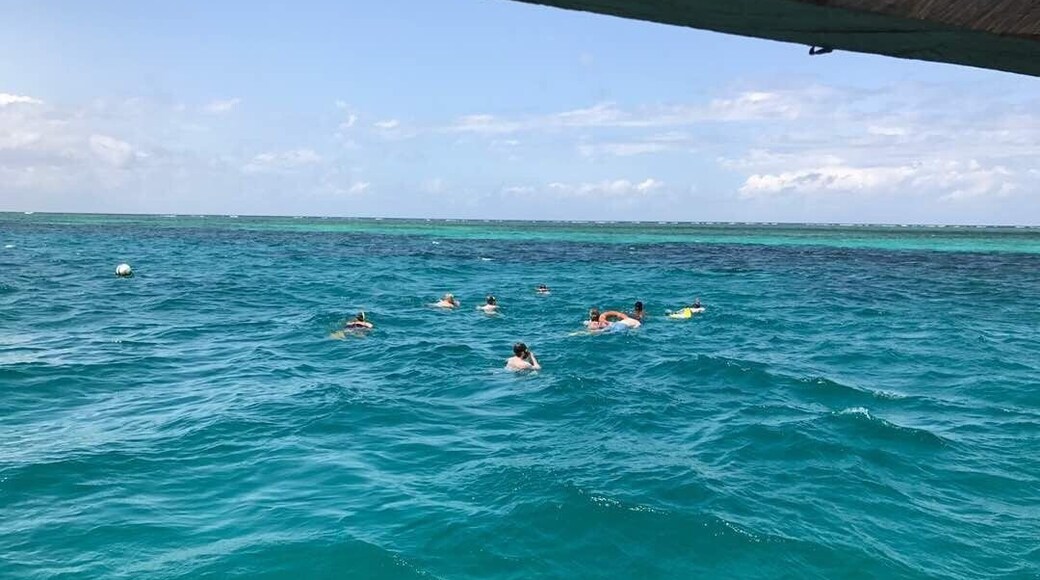 Yes, the sea is really really green !!!