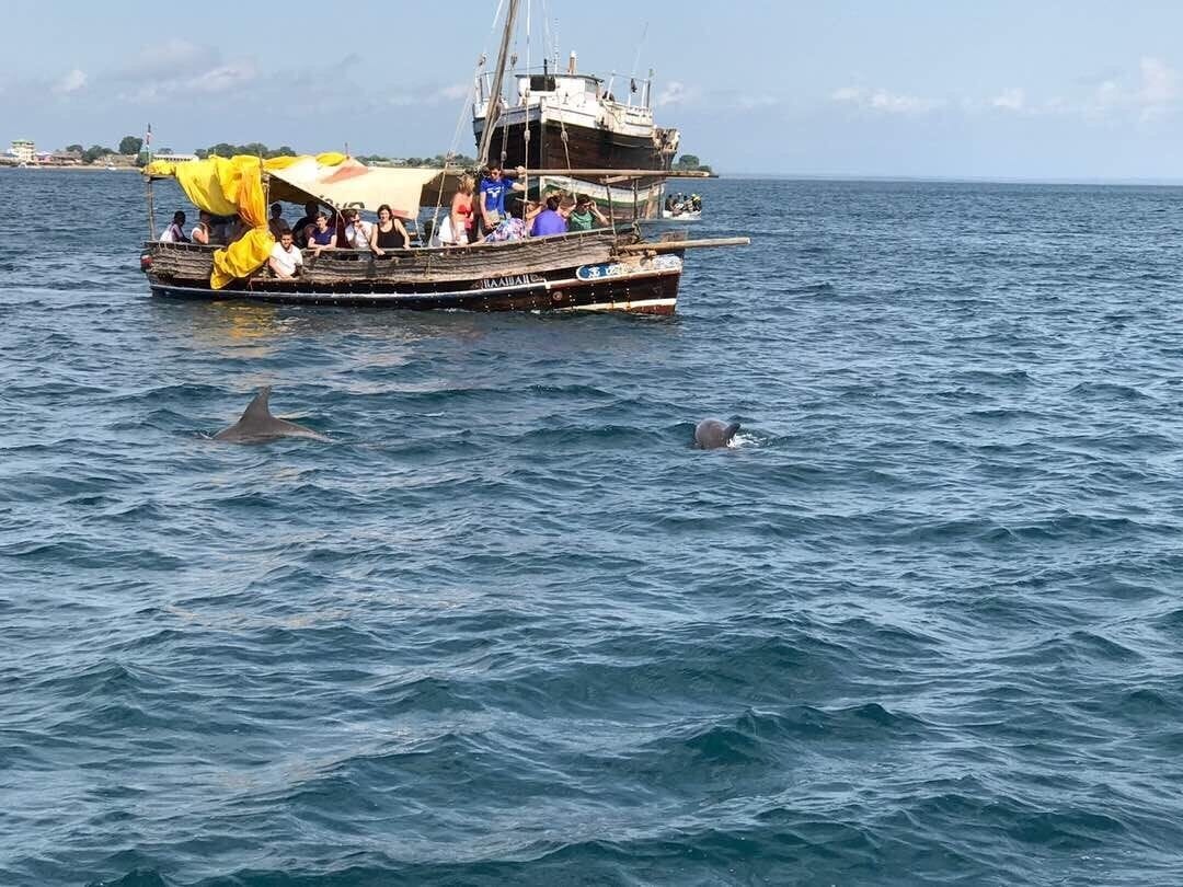 On our way to snorkel, we had visitors
