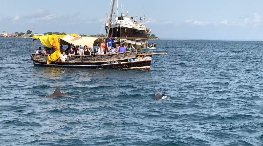 On our way to snorkel, we had visitors