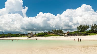 Watamu Bay Beach, Watamu, Kilifi County, Kenya