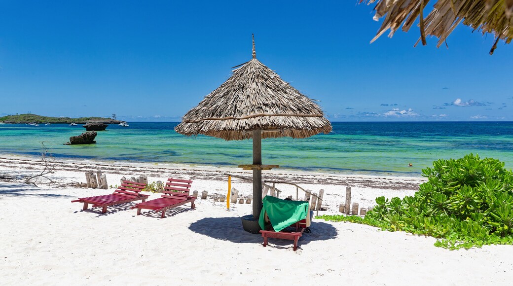 Chair and green trees on a white sand beach. Watamu, Kenya - Africa.