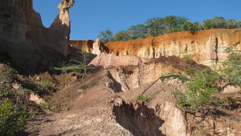 0_ead8c5d2-2eab-4b3e-b720-3a1de3e65846_raw