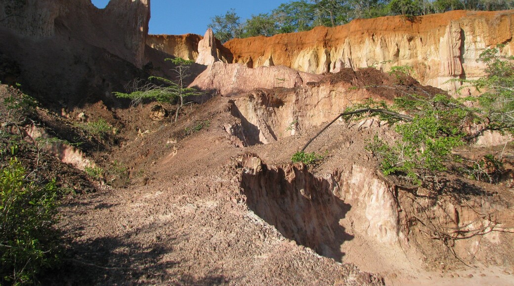 0_ead8c5d2-2eab-4b3e-b720-3a1de3e65846_raw