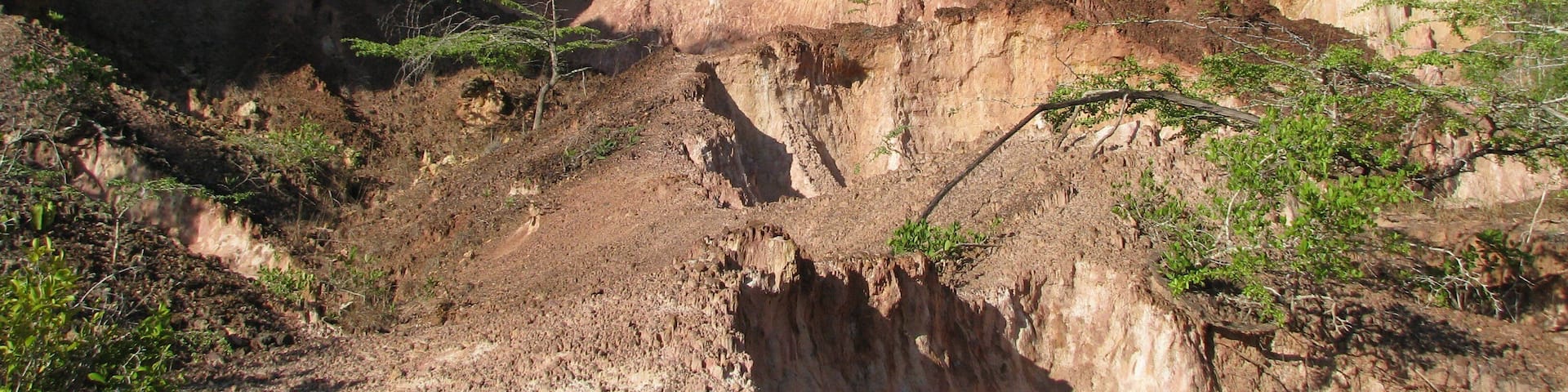 0_ead8c5d2-2eab-4b3e-b720-3a1de3e65846_raw