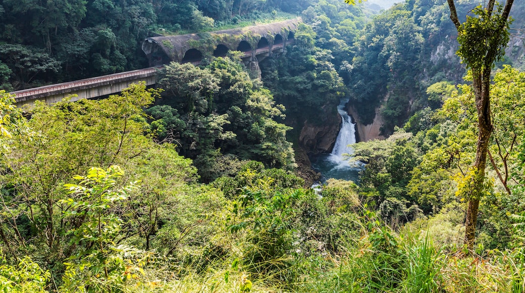 Cascada de Atoyac, Veracruz, México.
