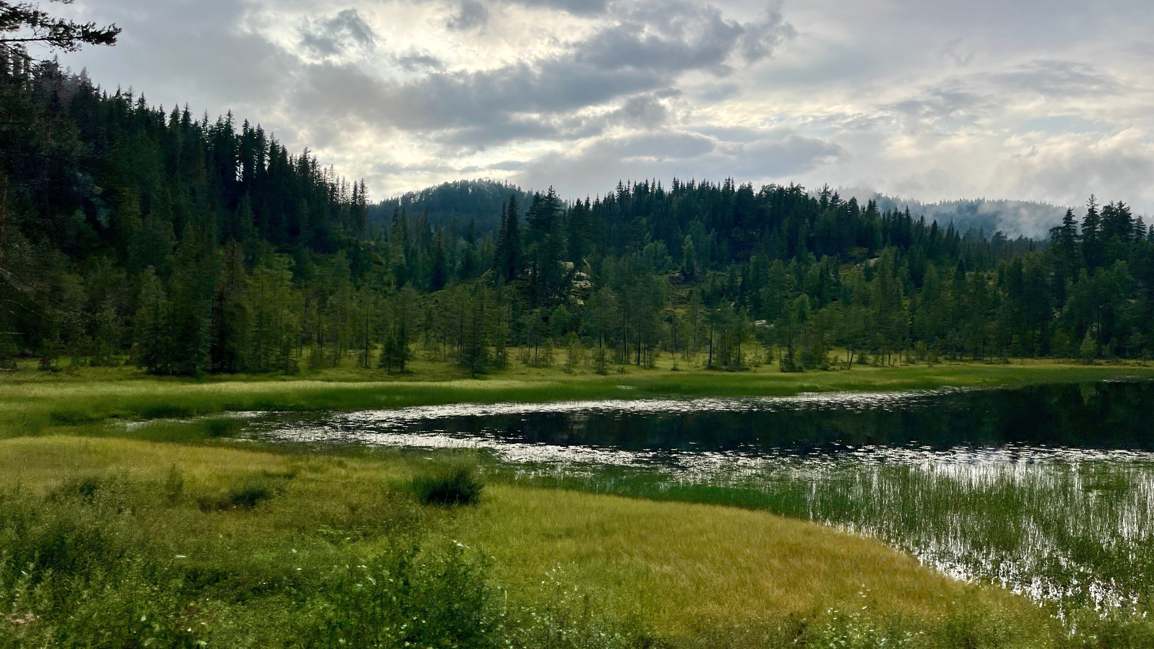A lake surrounded by dense forest and a cloudy sky.