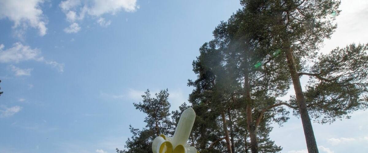 A sculpture of a banana on a grassy hill with trees in the background.