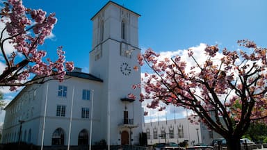 A white building with a clock tower and cherry blossoms.