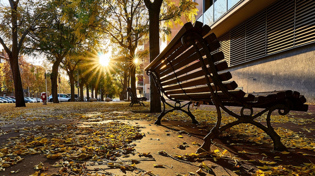 Leaves on the street floor in fall season in Barbera del Valles in Spain