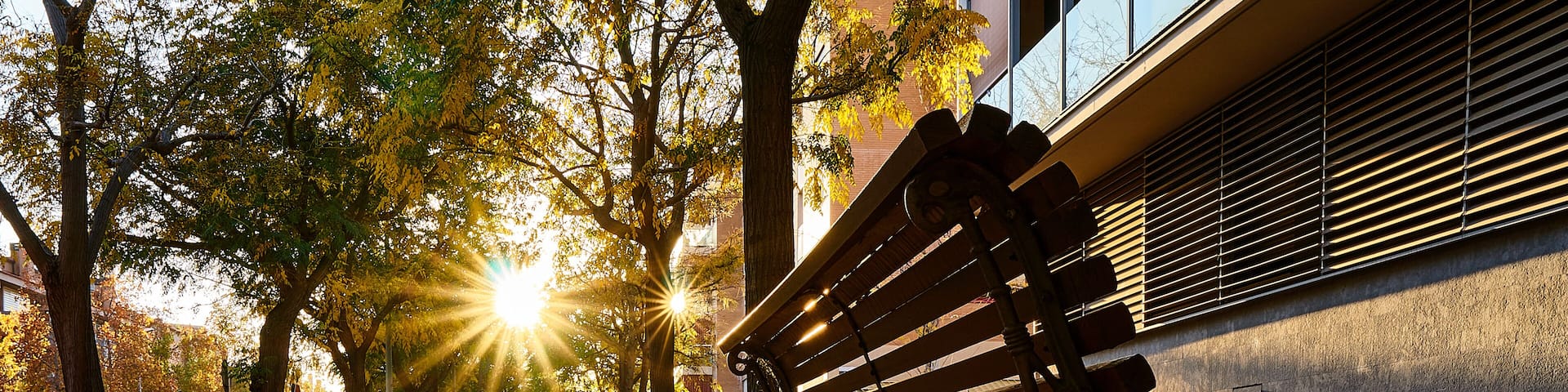 Leaves on the street floor in fall season in Barbera del Valles in Spain