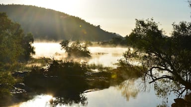 Caption---- Pilanesburg South Africa_Safari