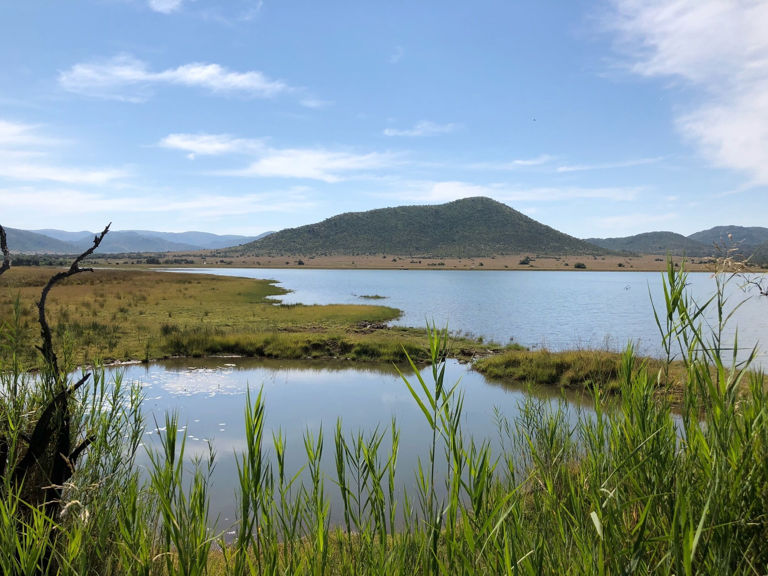 Pilanesberg National Park 