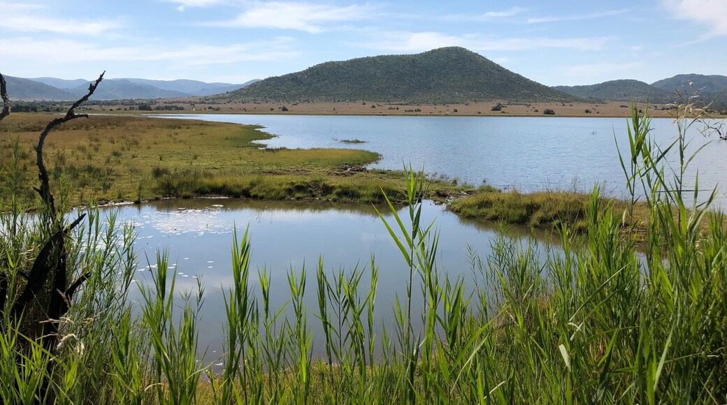 Pilanesberg National Park