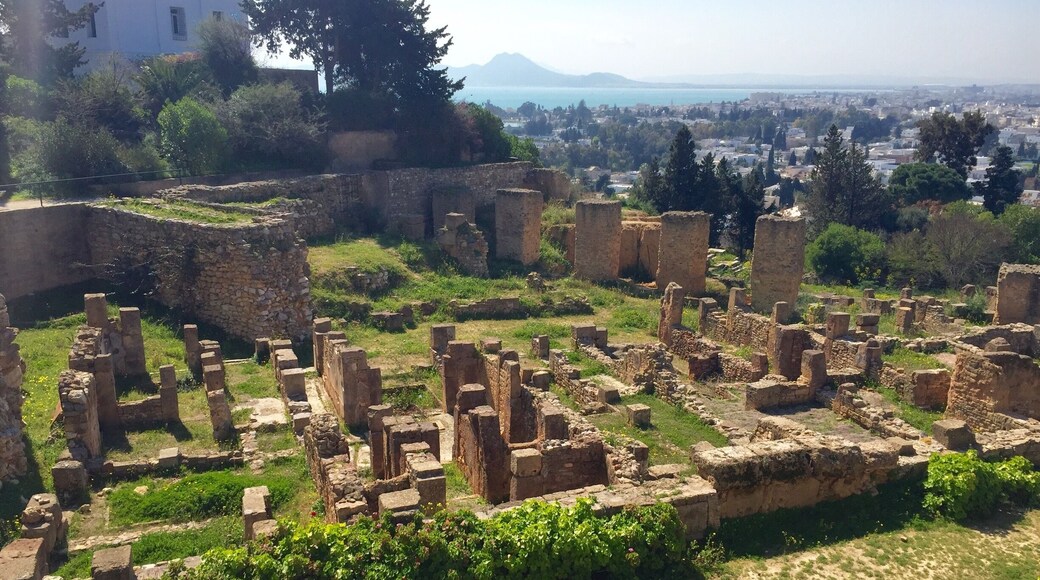 Ruins in Carthage