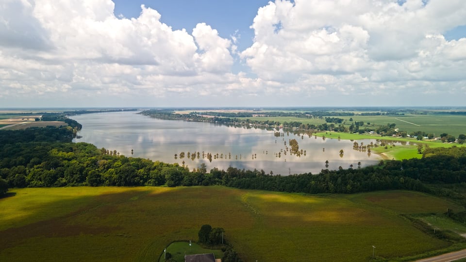 A river with a forested area and fields.