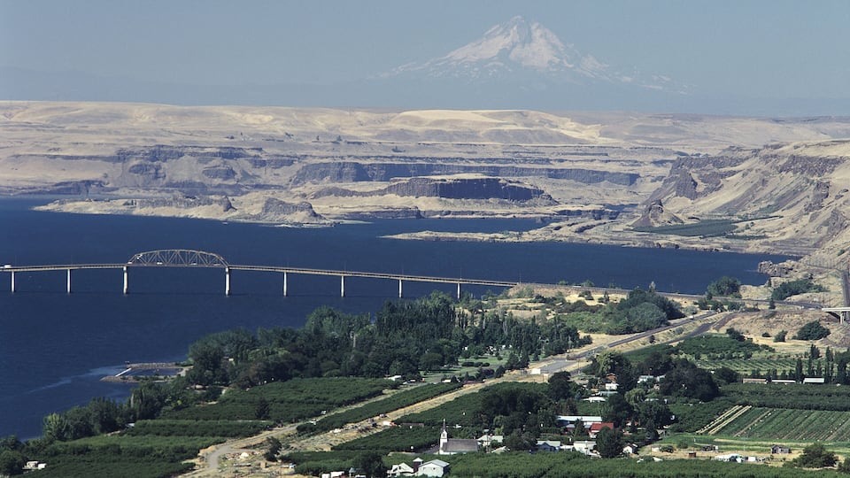 A coastal landscape with a bridge, vineyards, and a mountain in the background.