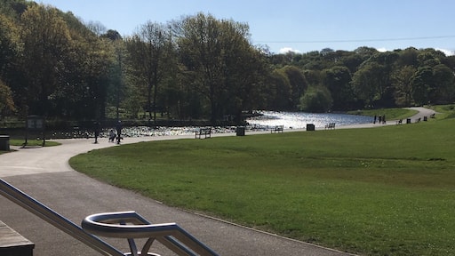 A photo taken from Coffee Culture, a great little cafe in Shibden Park, Halifax.