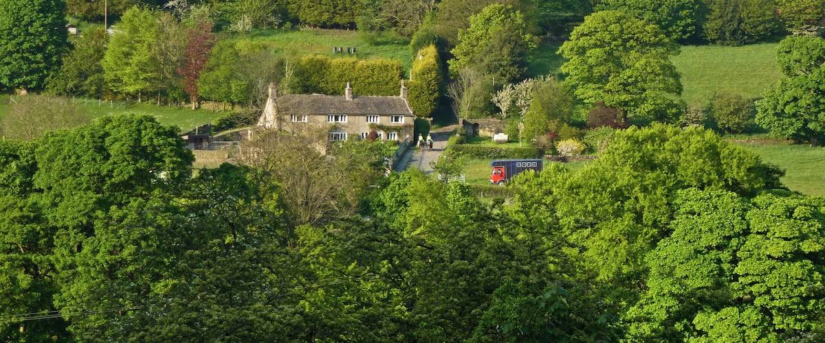 A rural house surrounded by lush greenery and trees.
