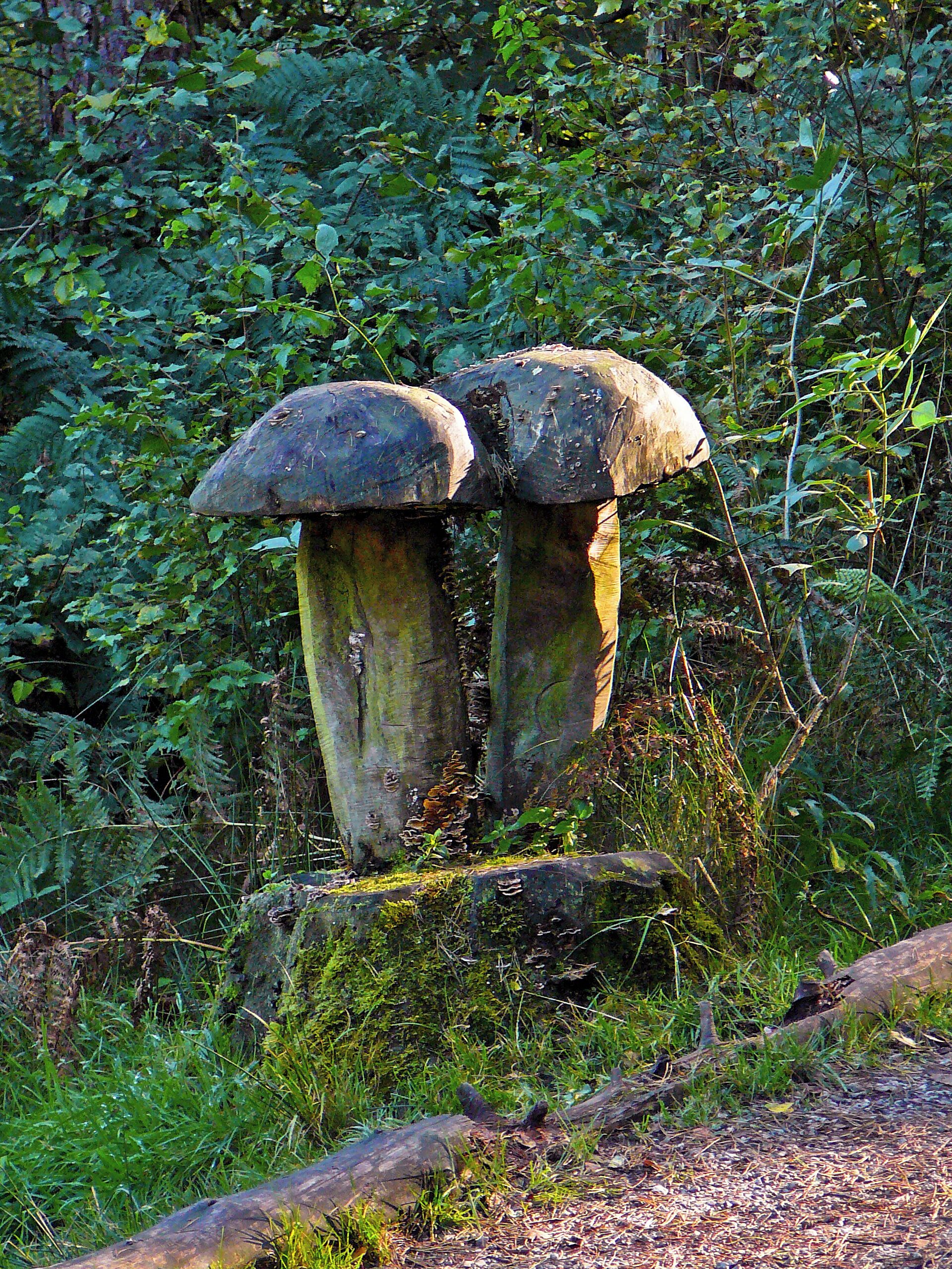Wooden sculpture at Ogden Reservoir