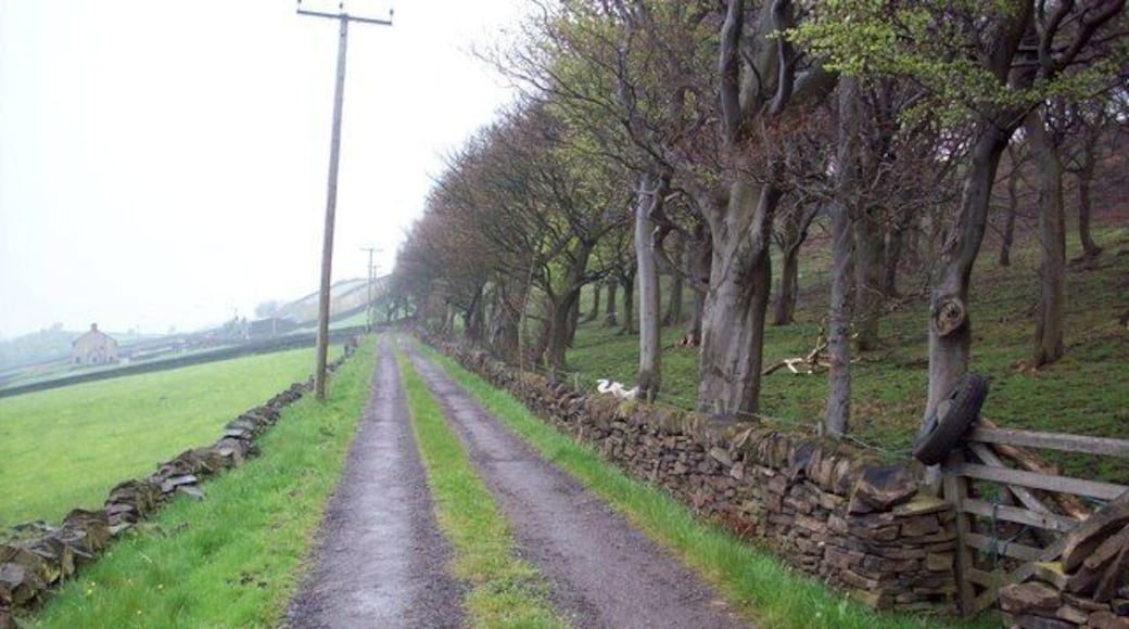 Moor Bottom Road, on the Calderdale Way Looking back along Moor Bottom Road between Norland and Ripponden.