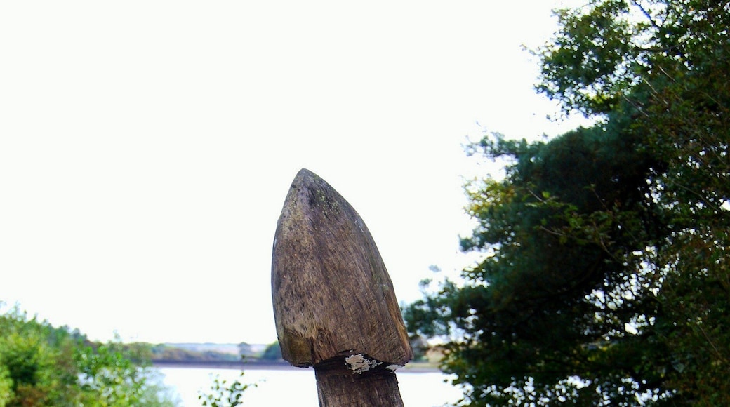 Sculpture, possibly of some sort of fungus, by the Ogden Reservoir, near Halifax.