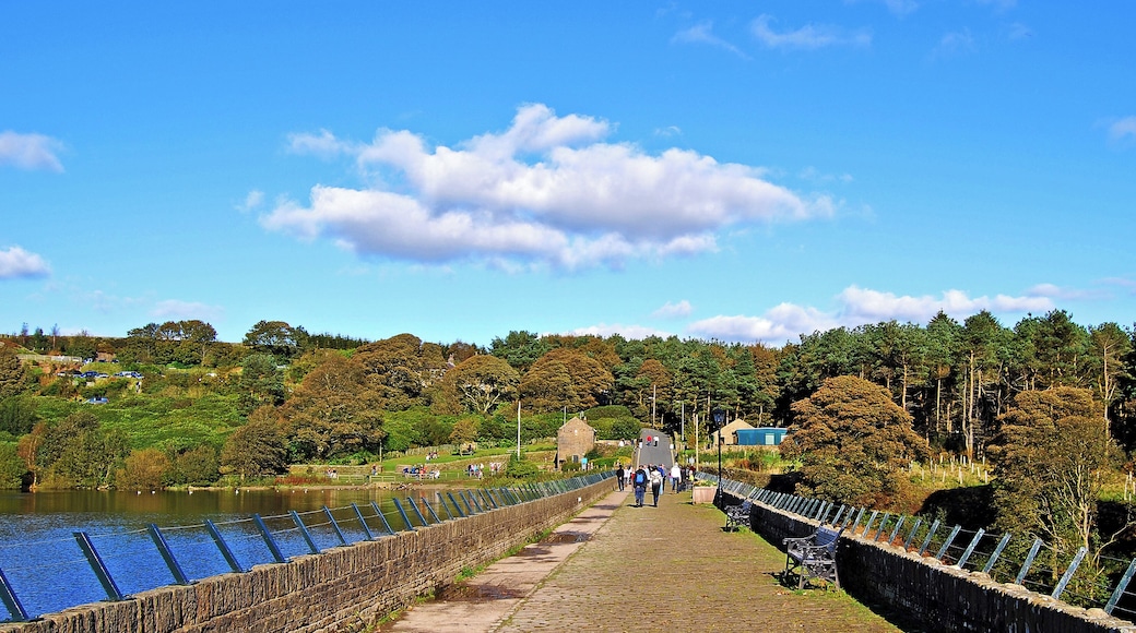 Ogden Reservoir