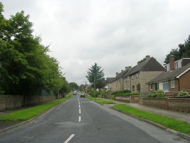 A residential street lined with houses, a grassy median, and trees.