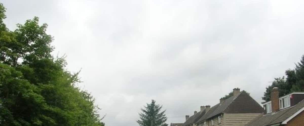A residential street lined with houses, a grassy median, and trees.