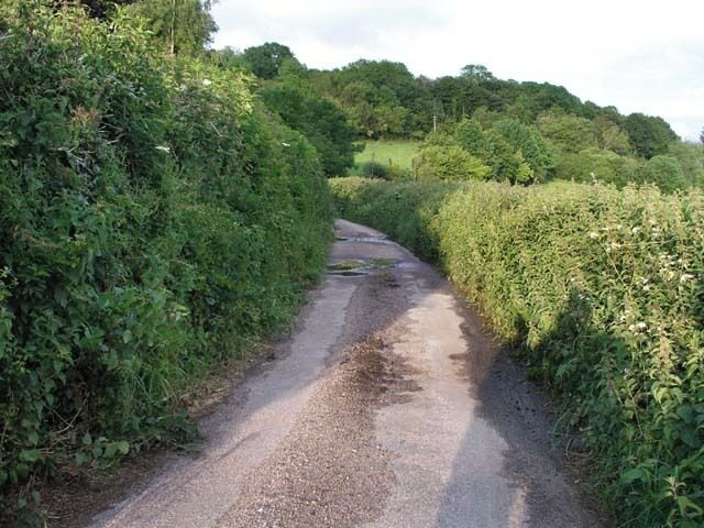 West Colwell: Lane to Colwell Barton looking East A typical Devonshire lane, narrow with high field hedges.