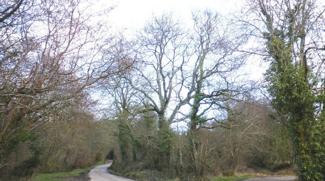 Minor road, towards Stafford Hill