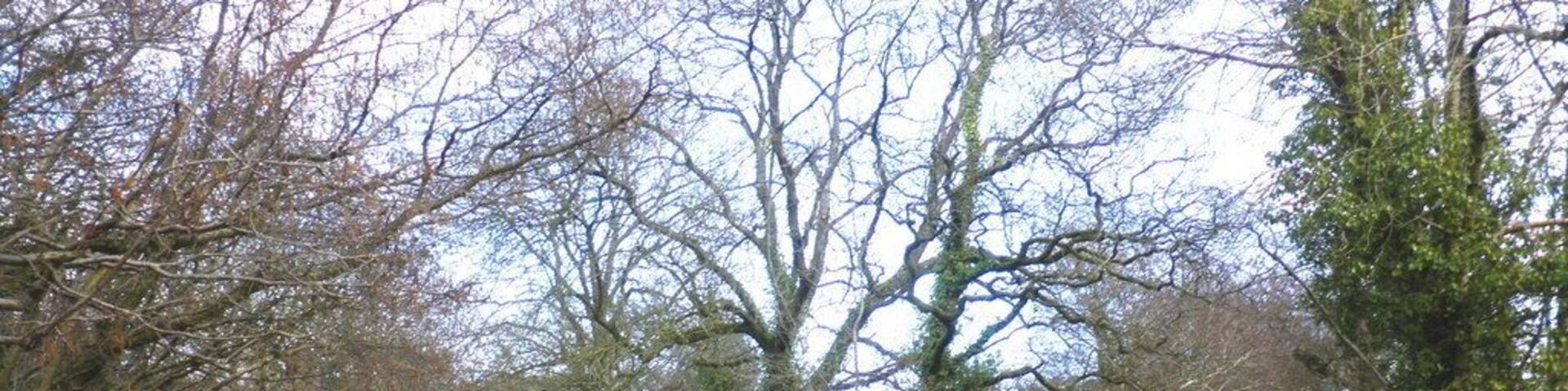 Minor road, towards Stafford Hill