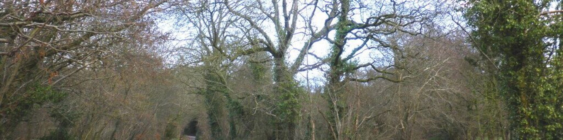 Minor road, towards Stafford Hill