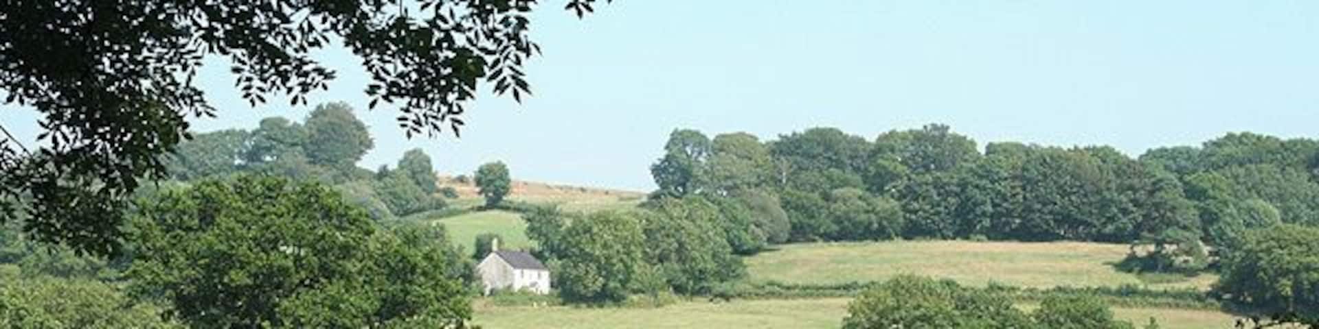 A rural landscape with rolling hills, scattered trees, and a white house in the distance.