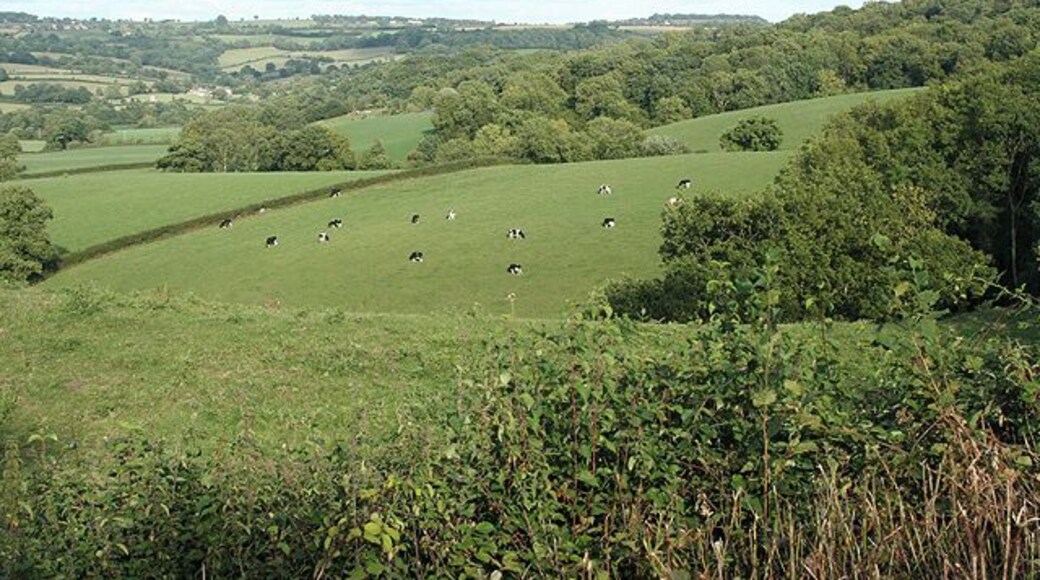 Stockland: by Marlpit Cross. Looking north east towards the Yarty valley