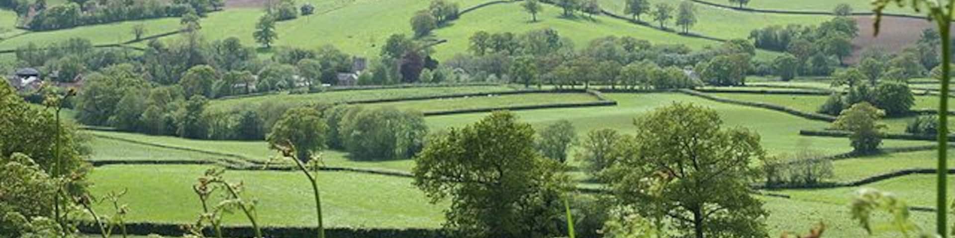 Awliscombe: towards the village. Seen from Greenway Lane, looking south west. The church and village nestle below Buckerell Knap. On the right of this view rain obscures the distant hills and will fall in Honiton 15 minutes later