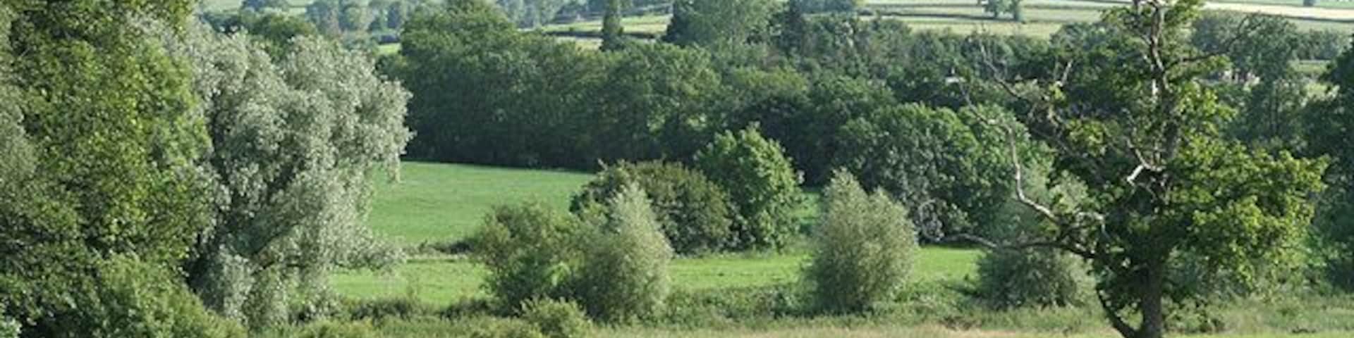 Buckerell: towards Gittisham. By the drive to the Deer Park Hotel. Looking south over the former deer park