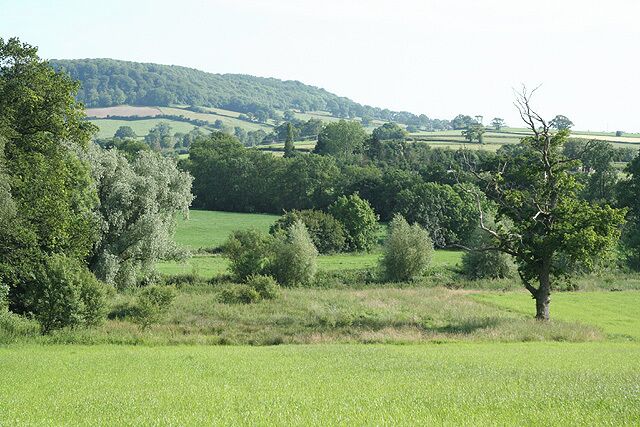 A green field with trees and hills in the background.