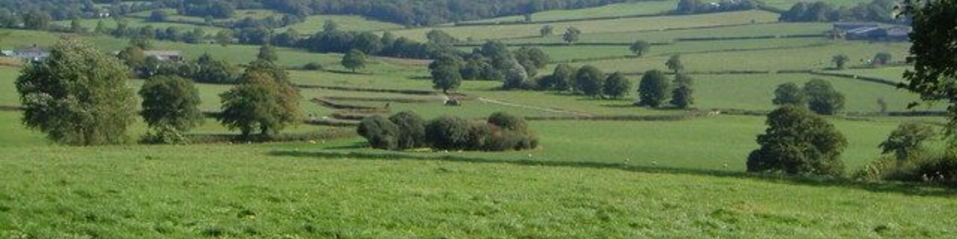 The Otter valley near Ullcombe. Looking ENE from the lane between Tiphayes Farm and Ullcombe, with Sweetlands Farm on the left. The tractor is working in a field just beyond Twistgates Lane which crosses the photo; the winding line of trees just beyond it marks the course of the River Otter. The nearest farm on the right is Highley Farm 245054.