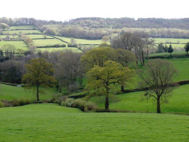 Sylvan scene, near Holmsleigh